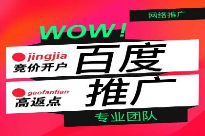 百度竞价包年案例揭秘：如何实现精准营销？